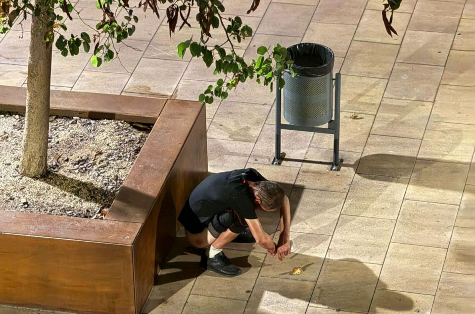 Els veïns es queixen que els membres d'aquest grup defequen a la plaça Els veïns es queixen que els membres d'aquest grup defequen a la plaça