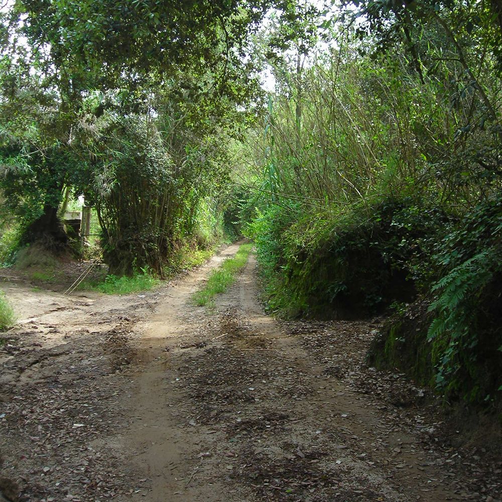 Arenys es tierra de brujas Arenys es tierra de brujas