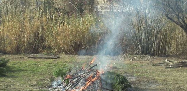 Les bruixes, éssers dels boscos i les viles Les bruixes, éssers dels boscos i les viles
