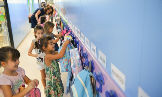 8 foto reducció primària