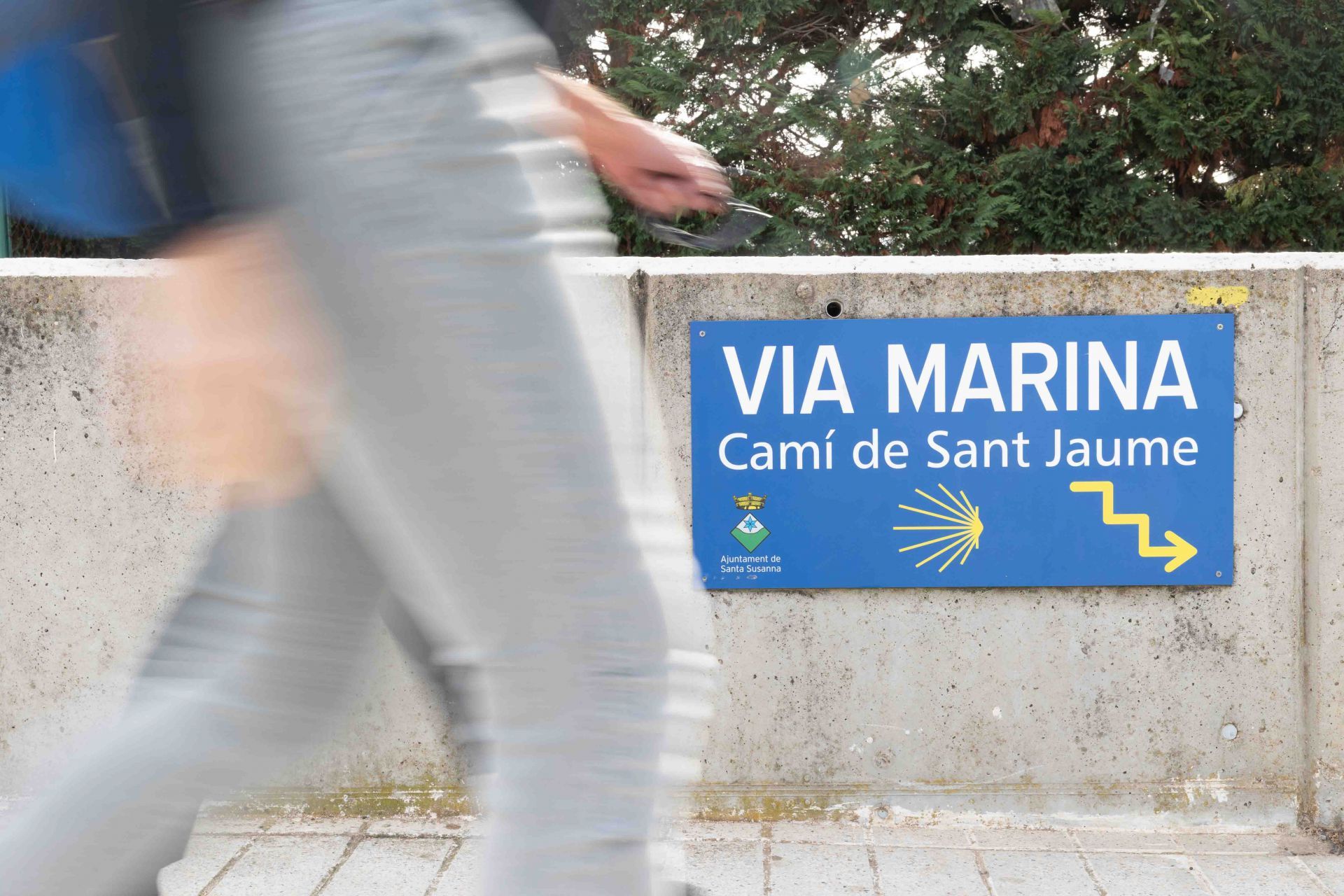 El Camí de Sant Jaume, al seu pas pel Maresme