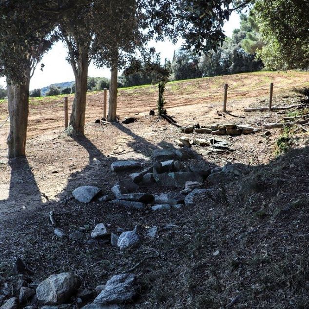 Necrópolis medieval