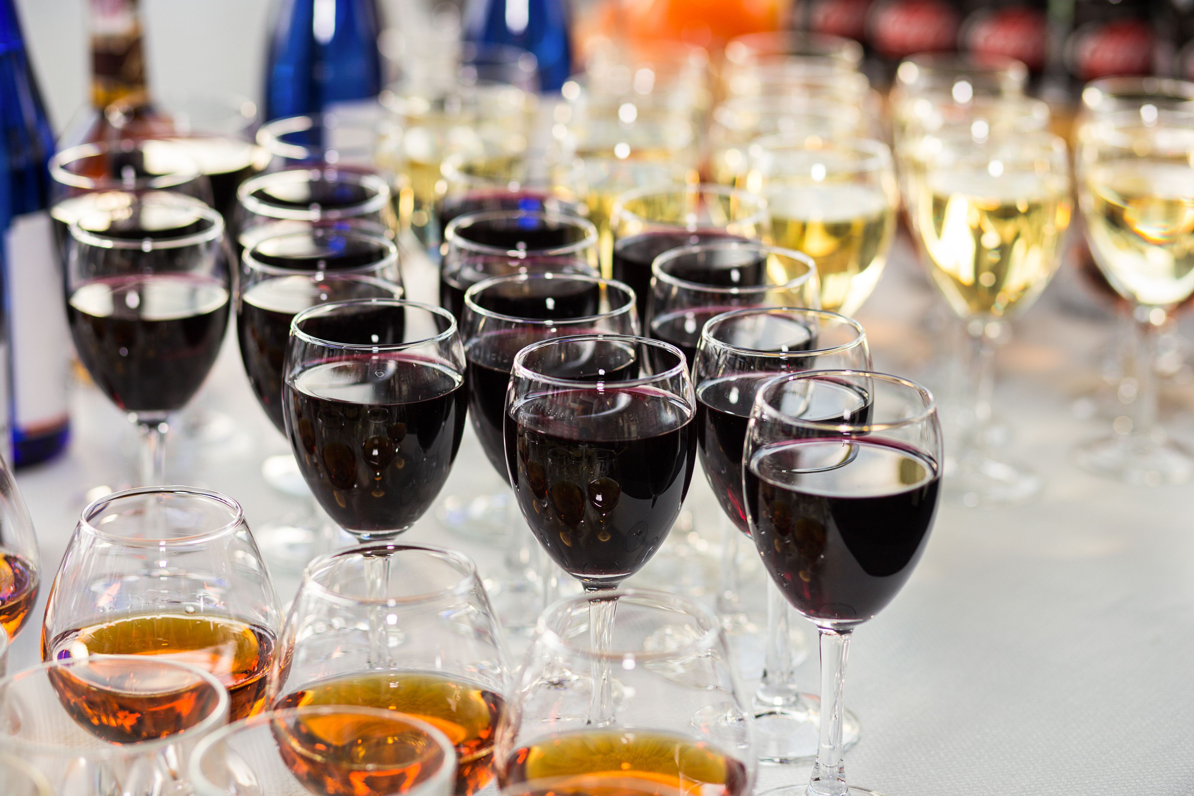 El vi de l'any, el novell, és el protagonista