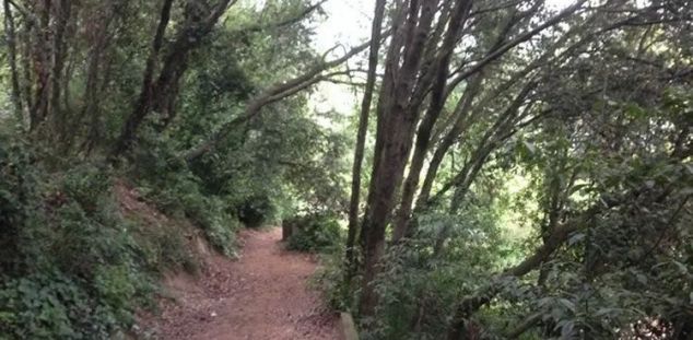 Arboretum de Catalunya de Cabrils 01 Arboretum de Catalunya de Cabrils 01