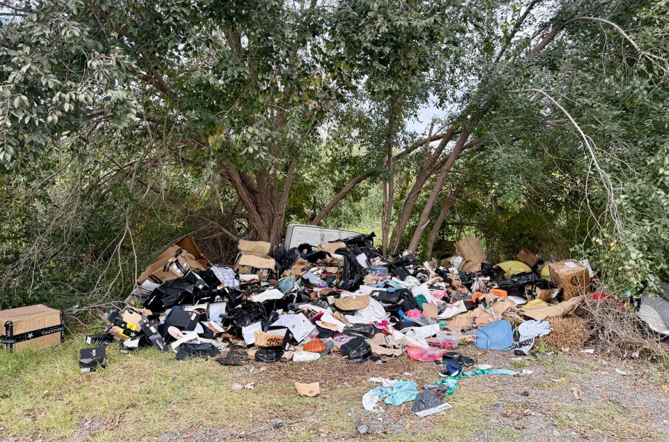 IMG 20251118 WA0007 IMG 20251118 WA0007