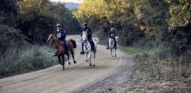 Raid Hípic Internacional Barcelona