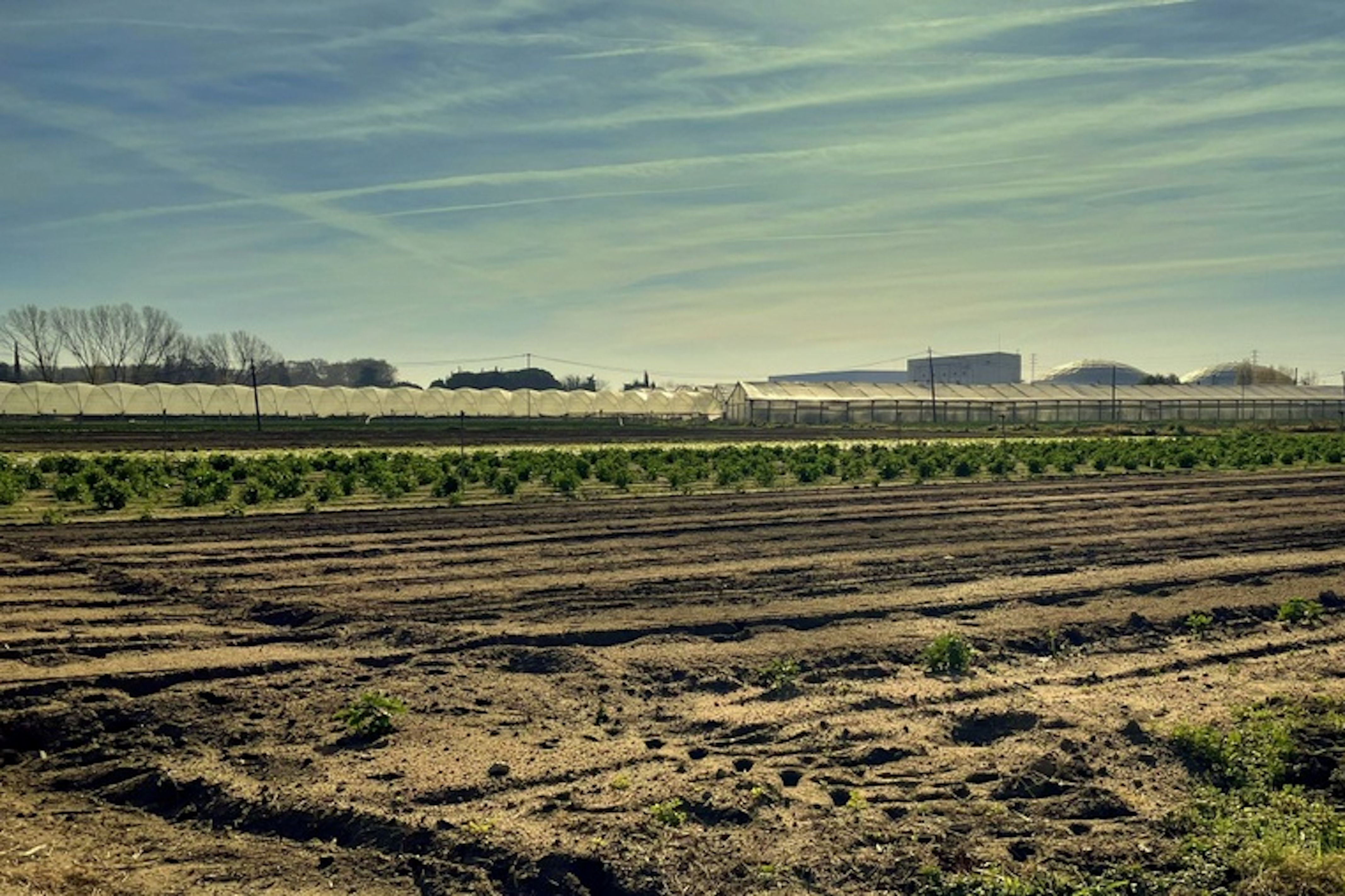 El campo maresmenc sufre robos