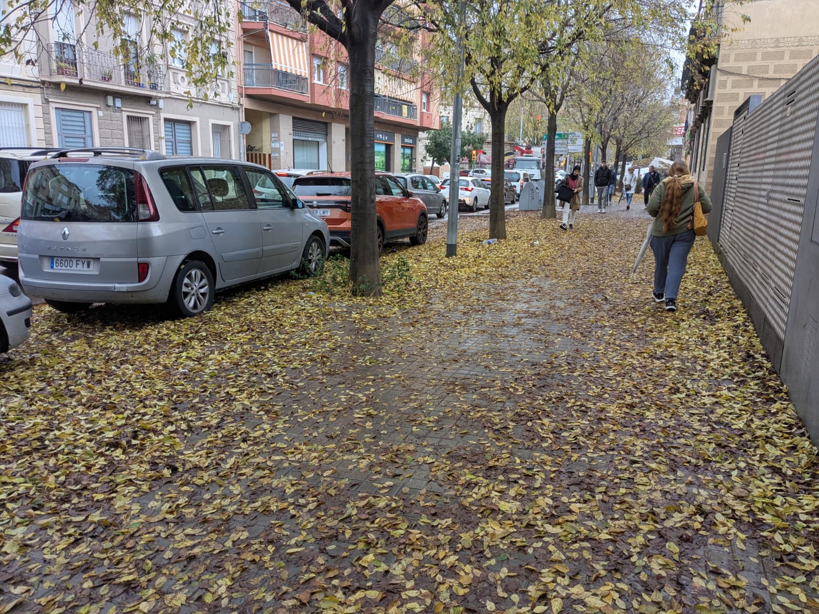 Catifa de fulles per terra a Mataró