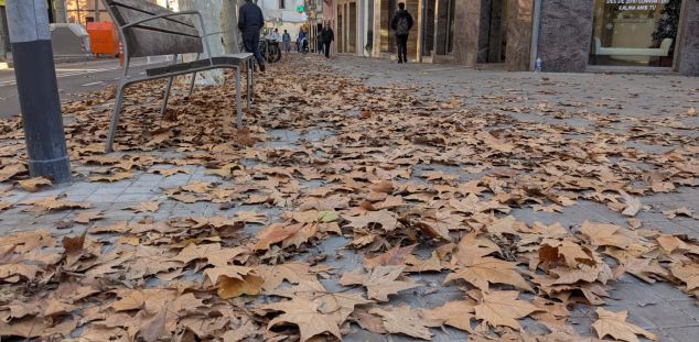 Hojas en el suelo en los últimos días de otoño Hojas en el suelo en los últimos días de otoño