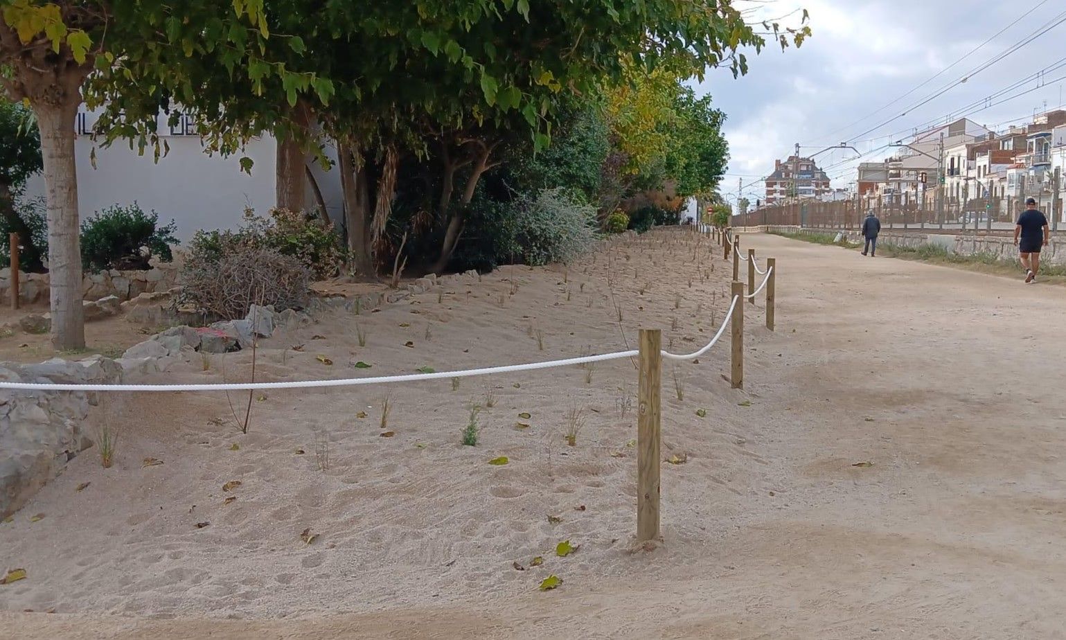 Vegetació a la platja de l'Almadrava de Vilassar de Mar. Foto Ajuntament