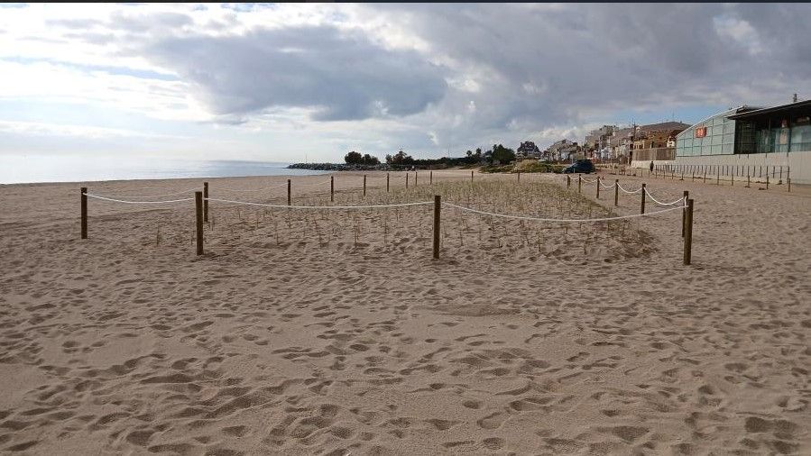 Un sector de la platja vilassarenca