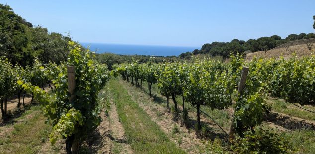 La DO més petita, amb el mar ben a la vora