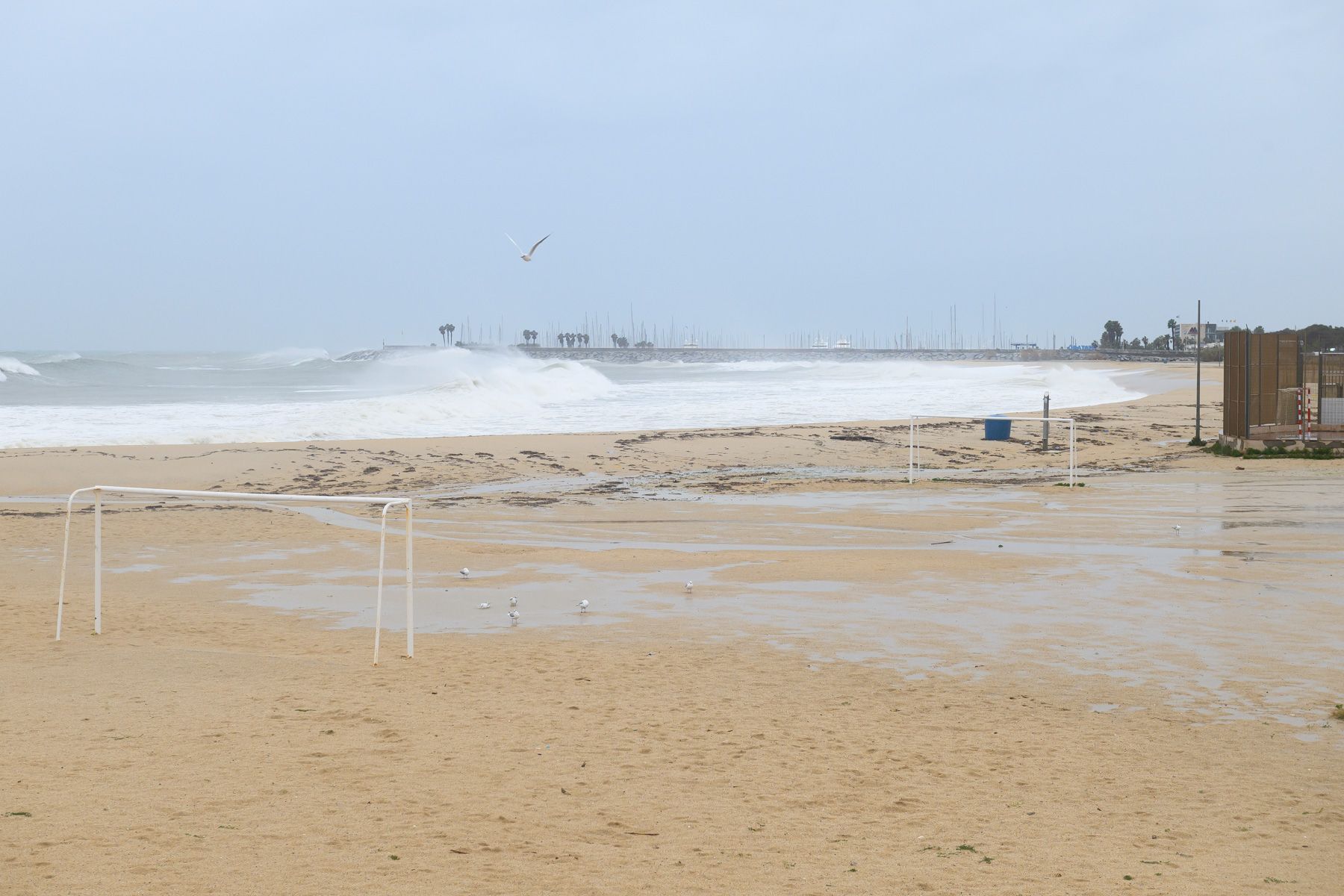 Onades de fins a cinc metres. Foto: R.Gallofré