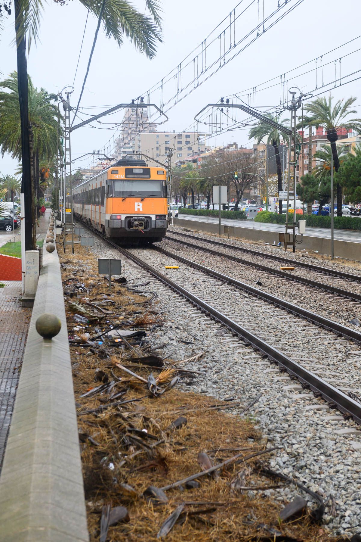 El servei ferroviari s'ha vist afectat. Foto: R.Gallofré