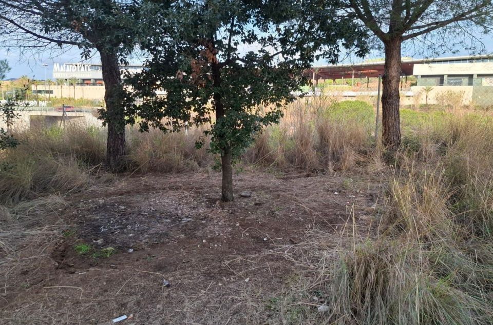 El espacio, una vez ordenado