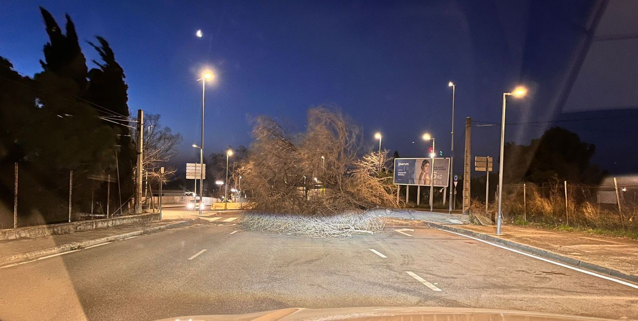 Un arbre caigut talla la circulació per sobre l'Hospital Un arbre caigut talla la circulació per sobre l'Hospital