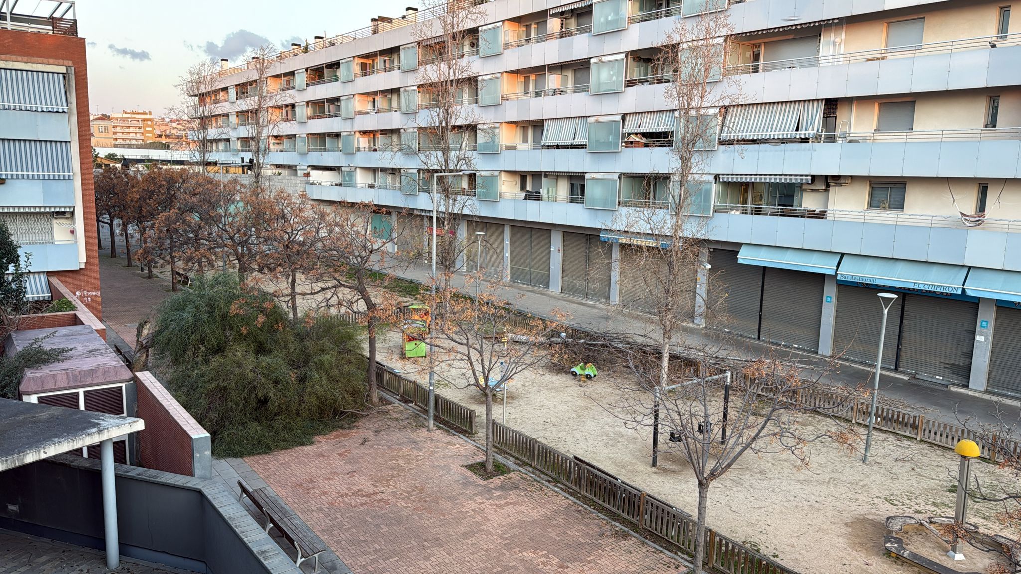 Arbre caigut a tocar d'un parc públic. Foto: Ivanna Fernàndez Arbre caigut a tocar d'un parc públic. Foto: Ivanna Fernàndez