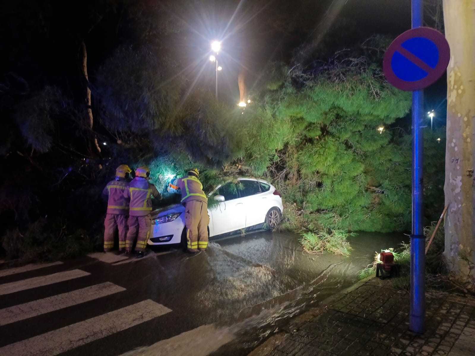 Els Bombers atenent un arbre caigut a tocar del Parc Central Els Bombers atenent un arbre caigut a tocar del Parc Central