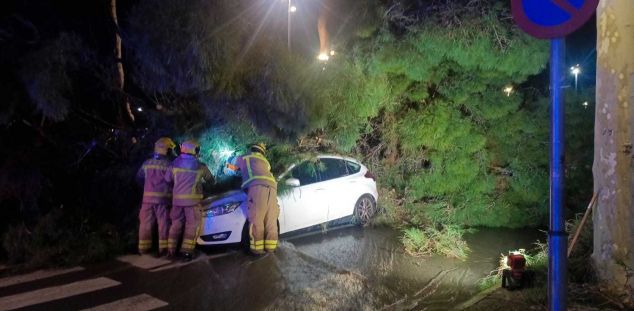 Els Bombers atenent un arbre caigut a tocar del Parc Central
