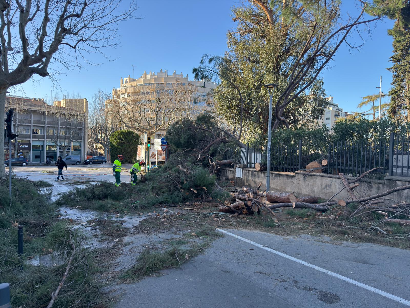 Operaris treballant per enretirar l'arbre caigut al costat del Parc Central. Foto: R. Gallofré Operaris treballant per enretirar l'arbre caigut al costat del Parc Central. Foto: R. Gallofré