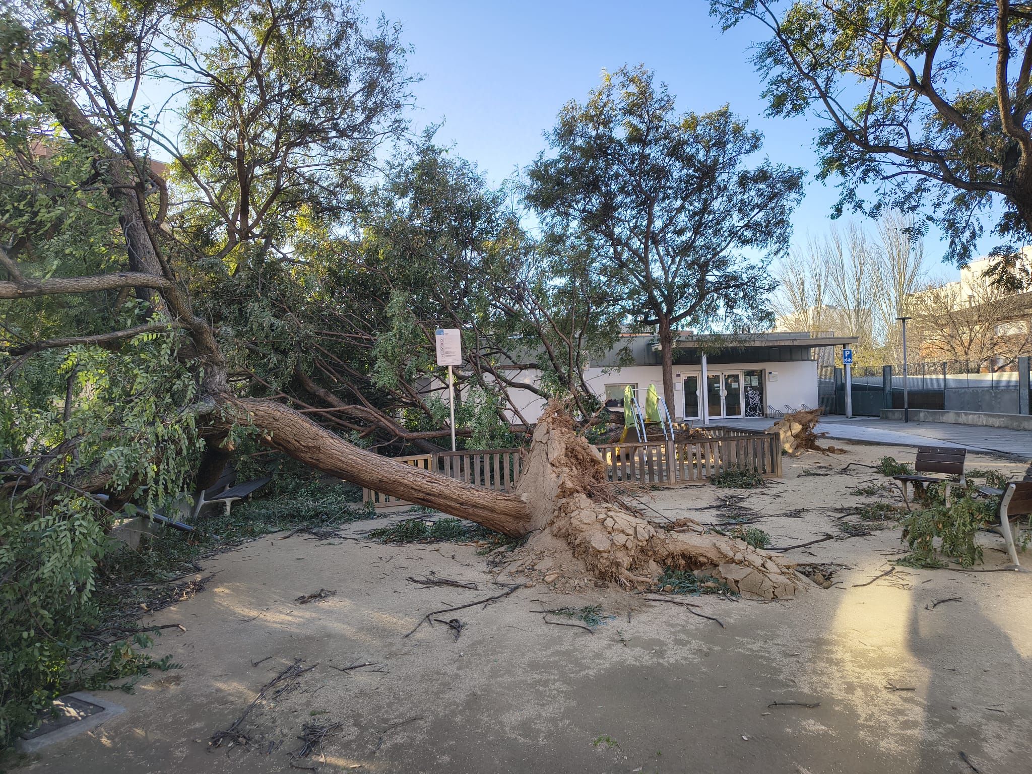 L'area infantil davant de l'EB El Tabalet, afectada. L'area infantil davant de l'EB El Tabalet, afectada.