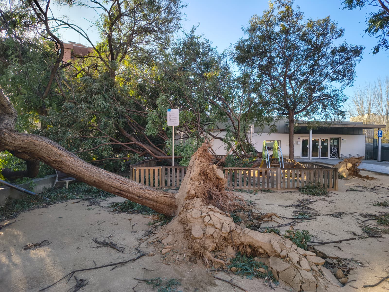 Arbres caiguts davant de l'escola bressol Tabalet de Mataró. Foto: V. B. 