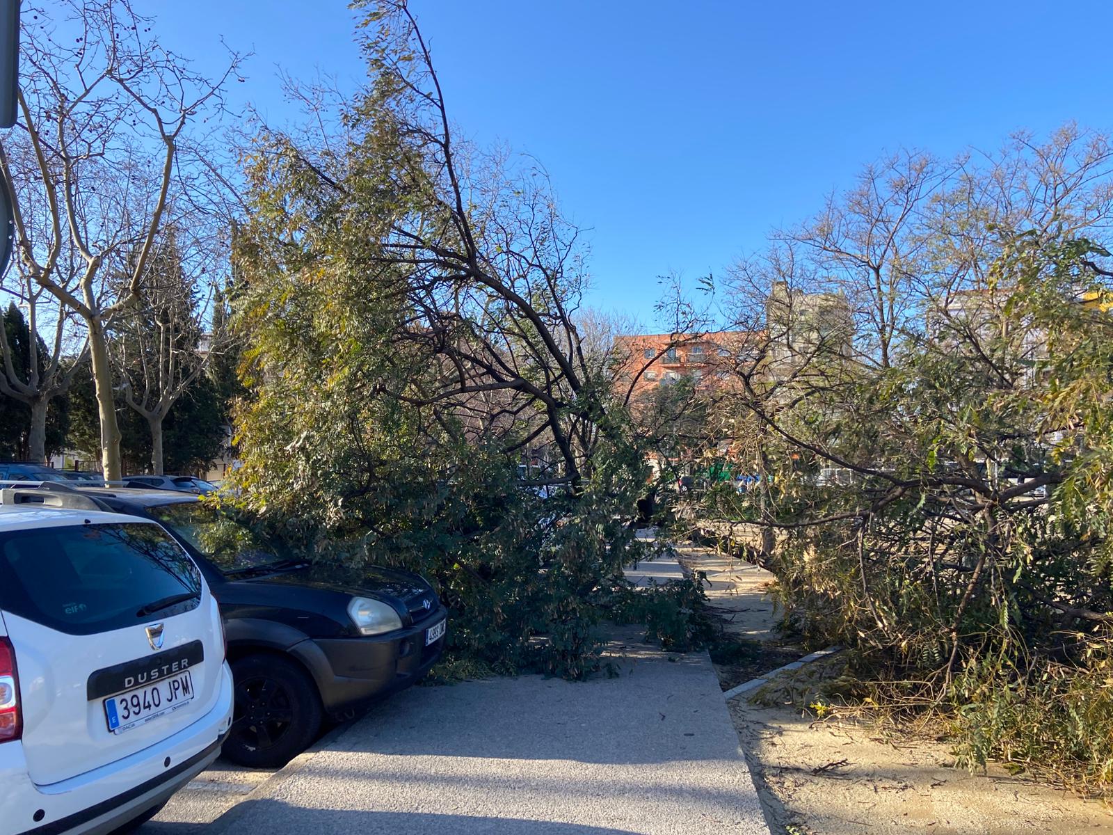 Imatges del temporal a la zona de Cerdanyola. Foto: R. Gallofré Imatges del temporal a la zona de Cerdanyola. Foto: R. Gallofré
