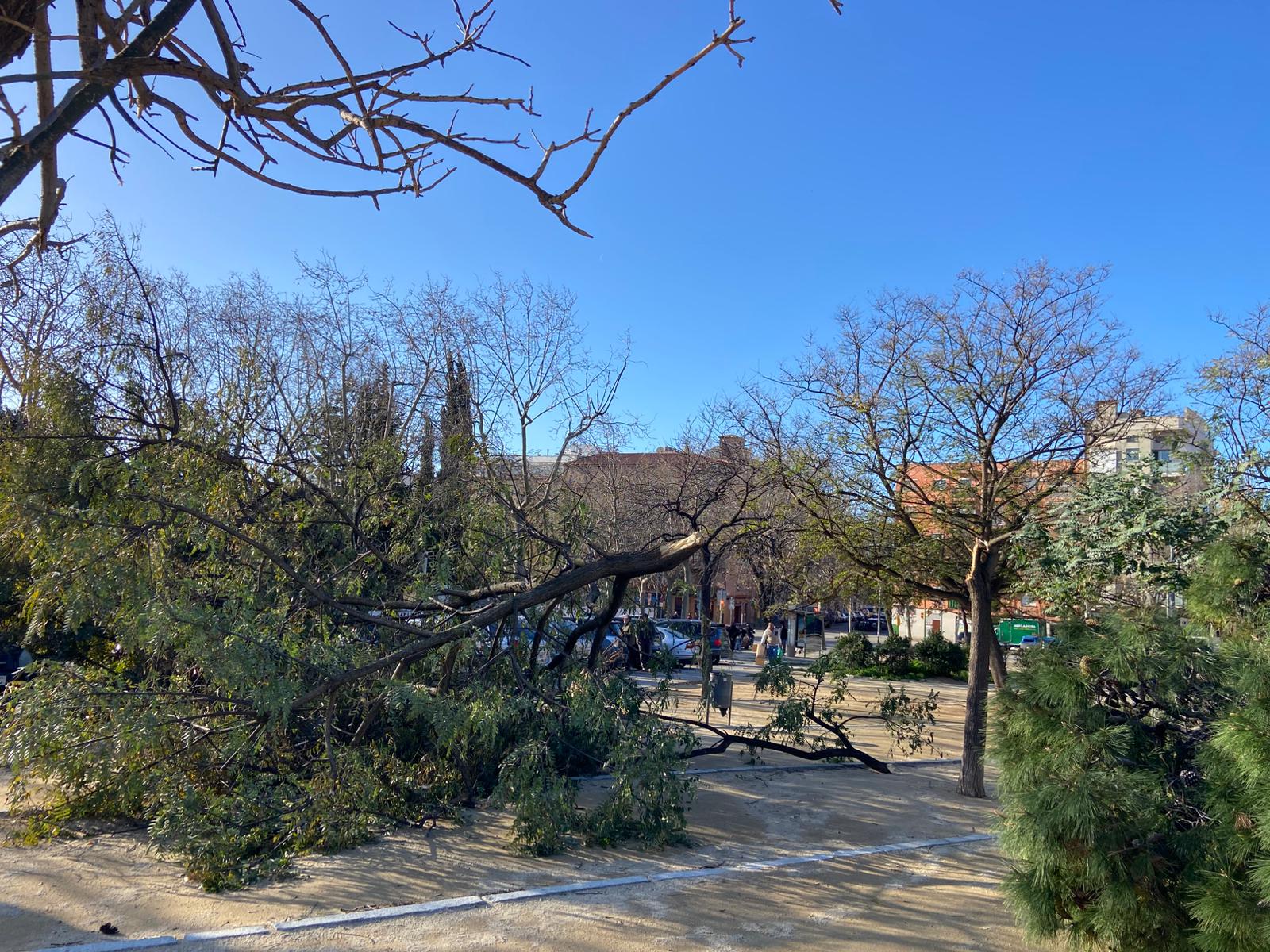 Imatges del temporal a la zona de Cerdanyola. Foto: R. Gallofré Imatges del temporal a la zona de Cerdanyola. Foto: R. Gallofré