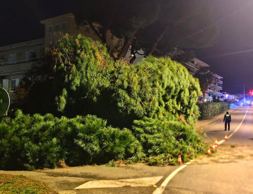 Captura de pantalla 2026 02 12 124908 Captura de pantalla 2026 02 12 124908