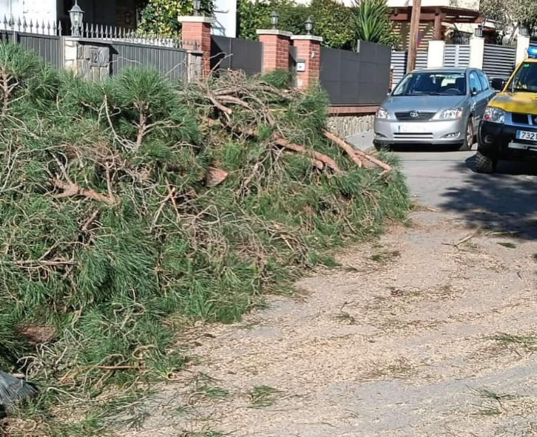 Captura de pantalla 2026 02 12 125031 Captura de pantalla 2026 02 12 125031