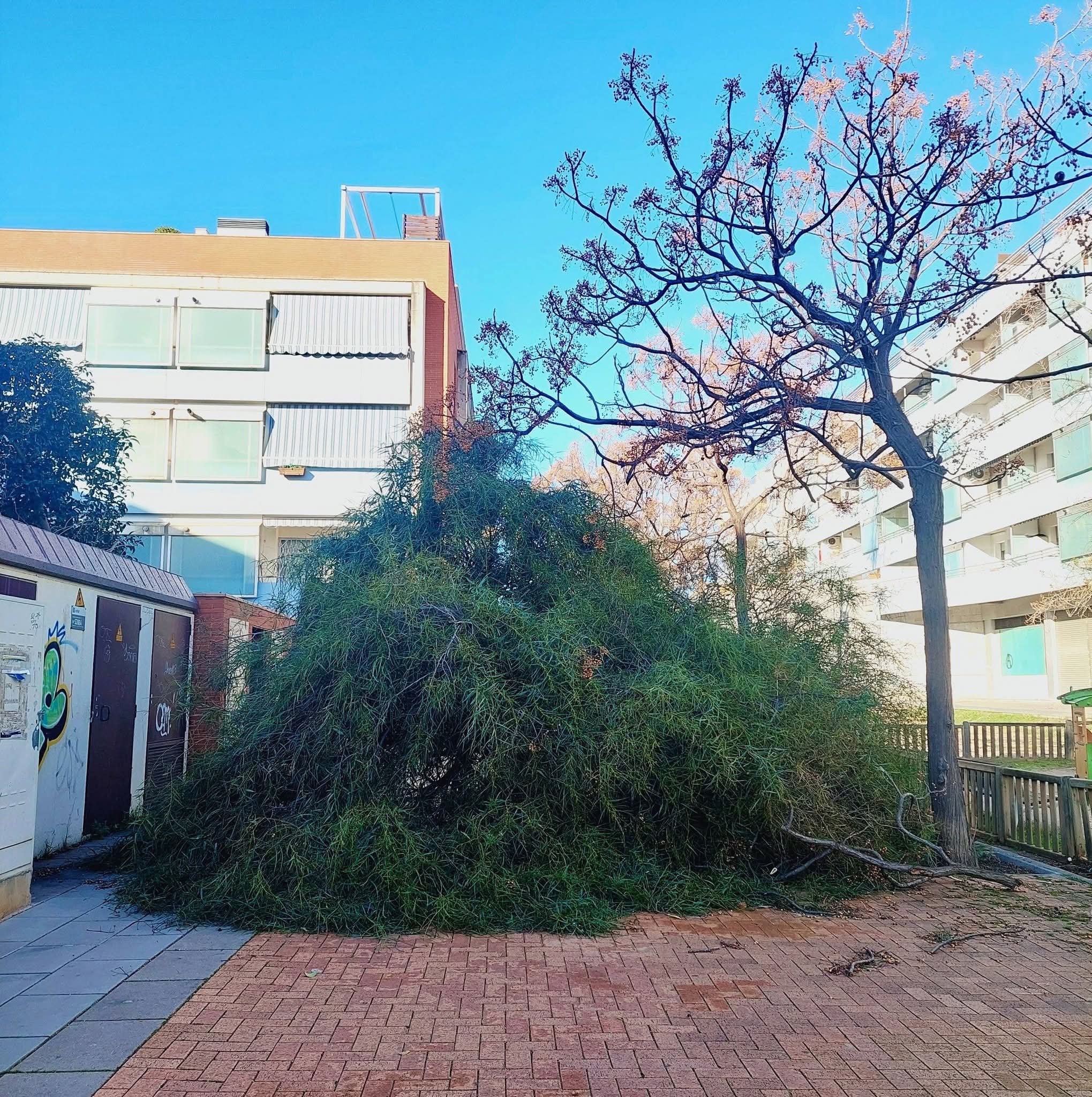 Efectes de la ventada a Can Gassol. Foto: Teresita Estrada Efectes de la ventada a Can Gassol. Foto: Teresita Estrada