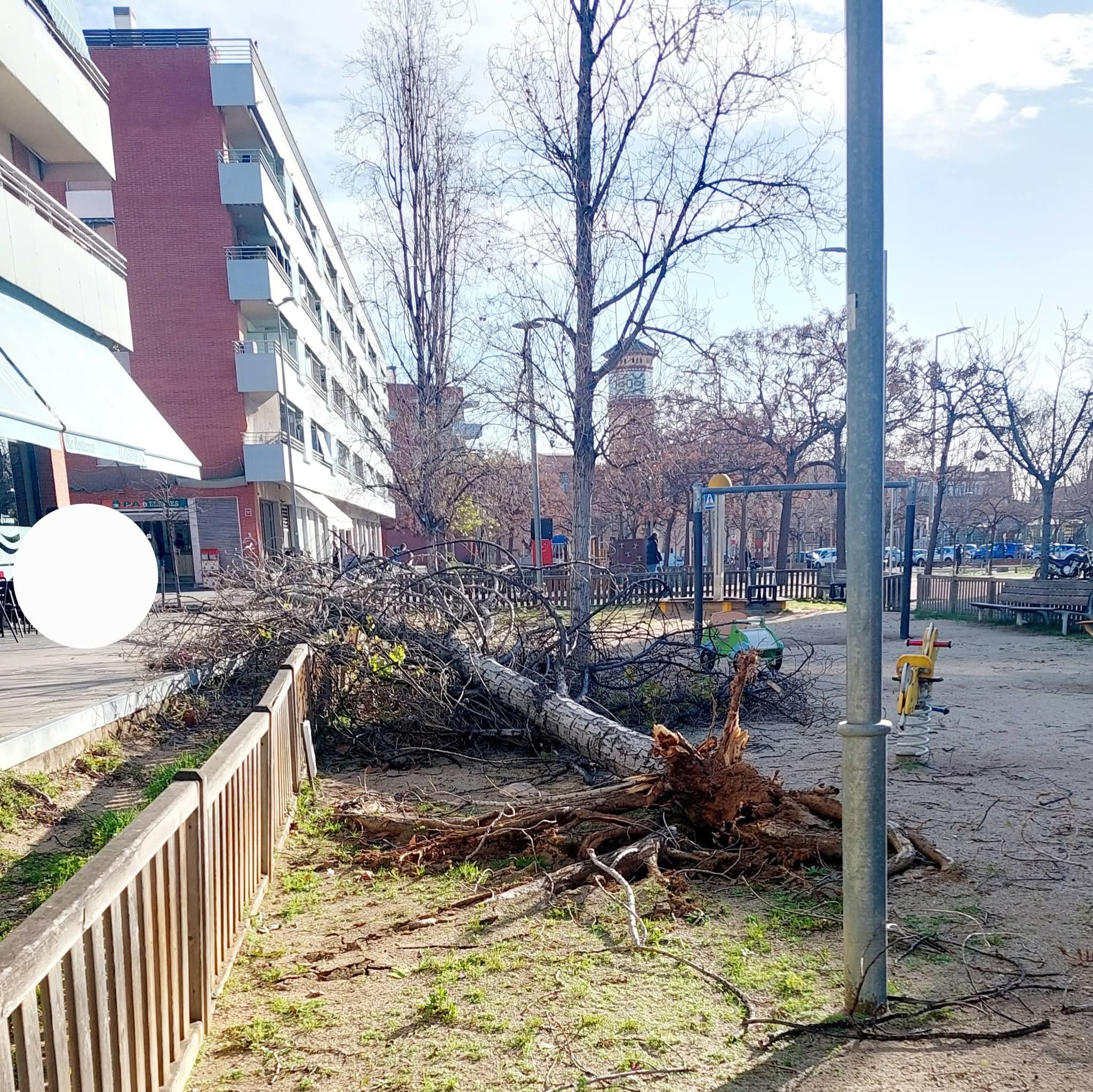 Efectes de la ventada a Can Gassol. Foto: Teresita Estrada Efectes de la ventada a Can Gassol. Foto: Teresita Estrada