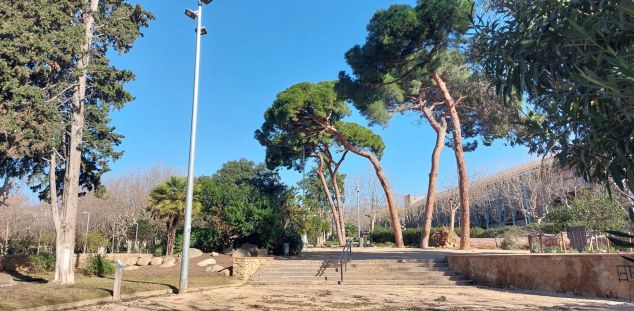 Els arbres del Parc Vell, afectats