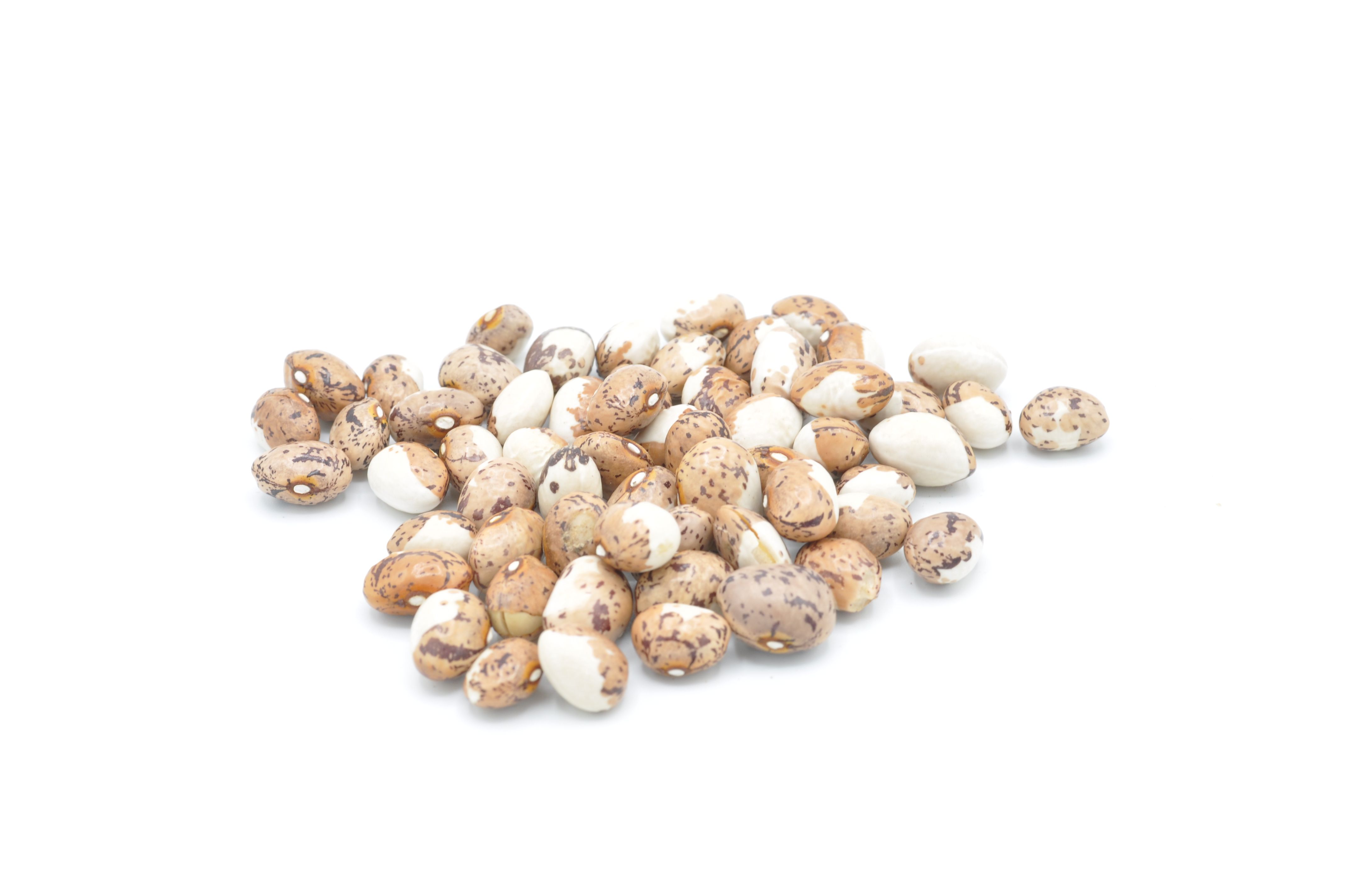 Fèsols de Genoll de Crist