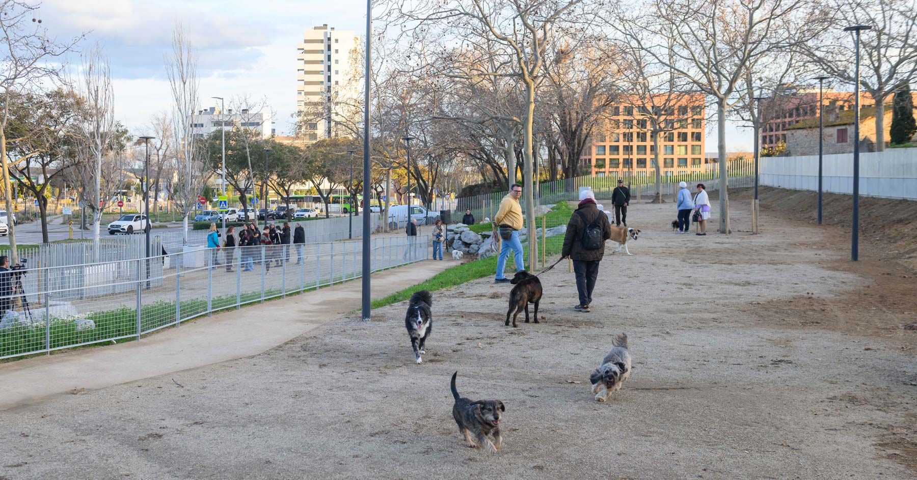 Nova àrea recreativa per a gossos al Plà d'en Boet. Foto: Ajuntament
