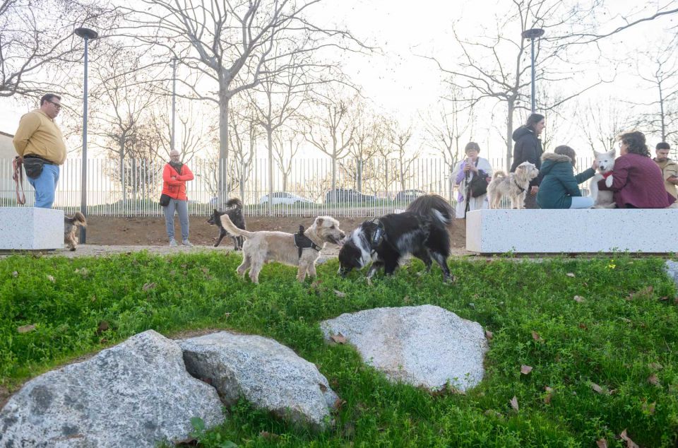 Nova àrea recreativa per a gossos al Plà d'en Boet. Foto: Ajuntament Nova àrea recreativa per a gossos al Plà d'en Boet. Foto: Ajuntament