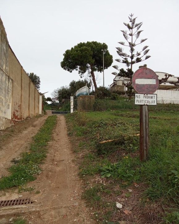 Interior de la finca Interior de la finca