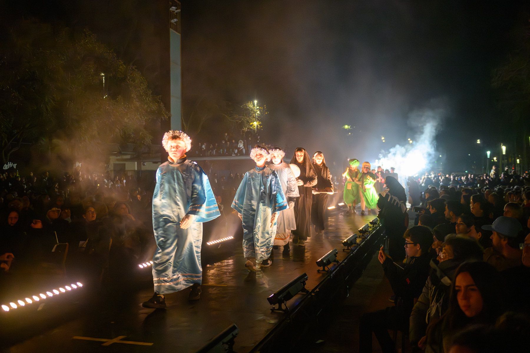 Carnestoltes Enterrament de la Sardina. Foto: R.Gallofré