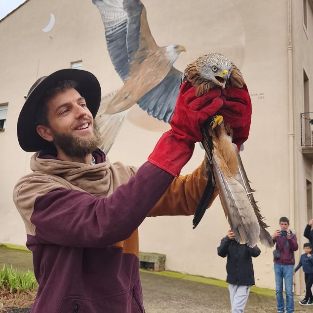 Swen amb un milà reial a Ivars
