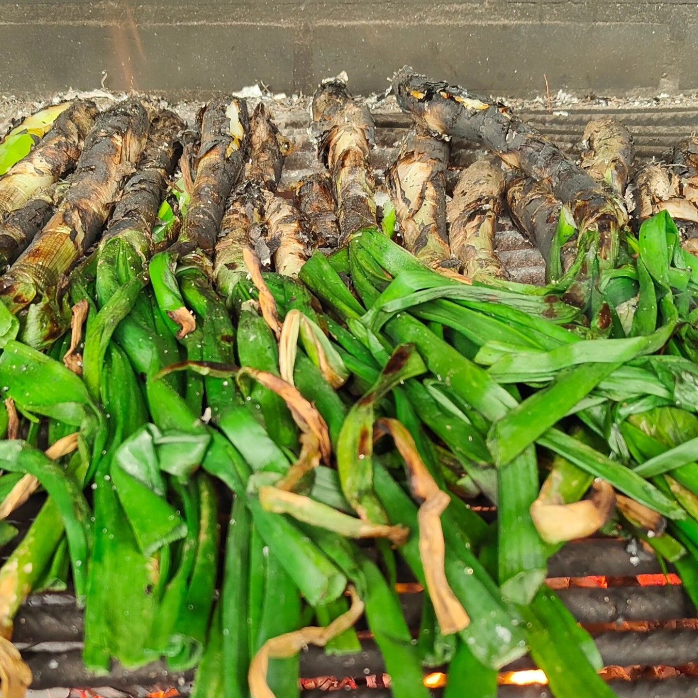 Calçotades en el Maresme