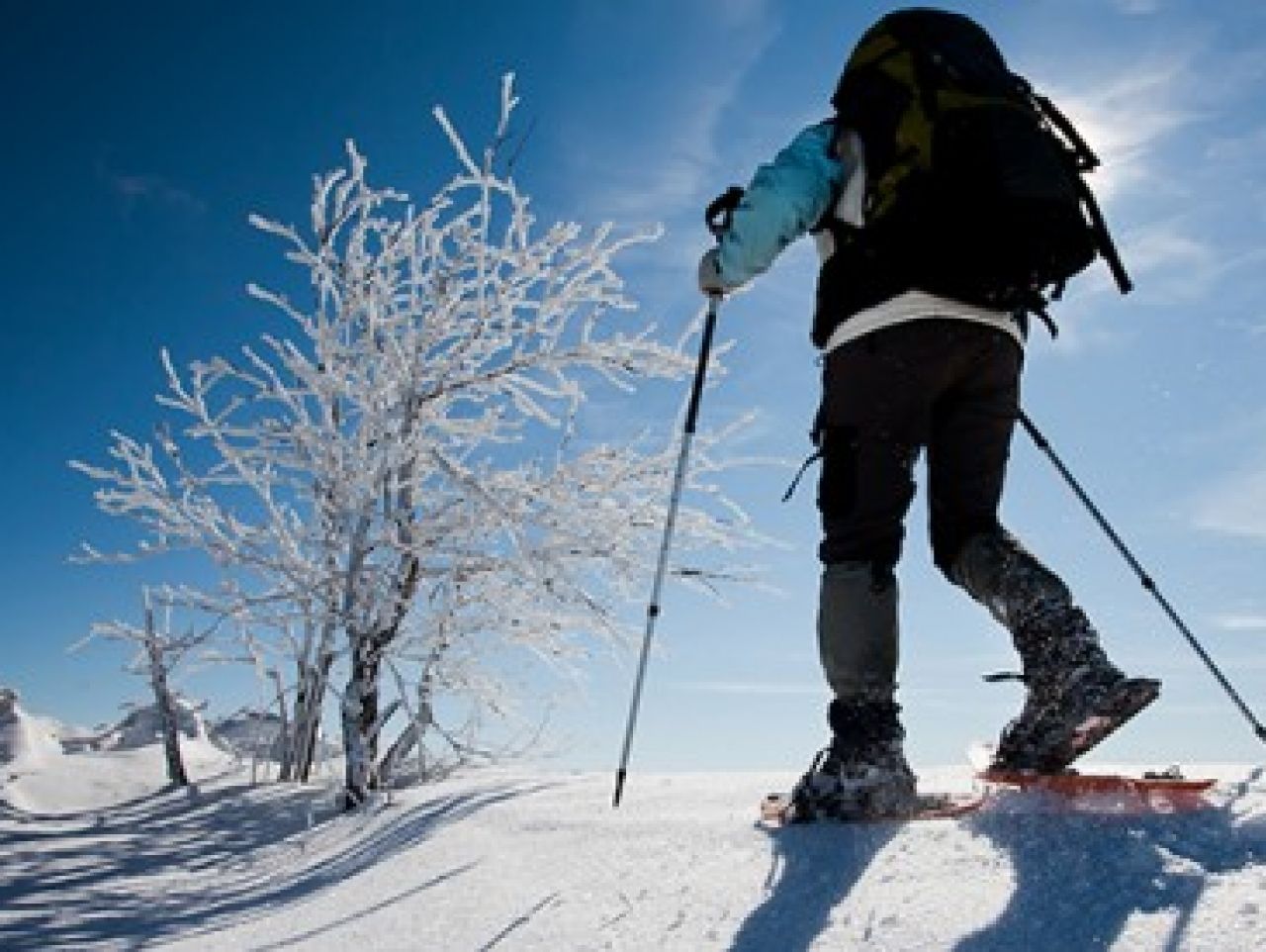 Excursió raquetes de neu