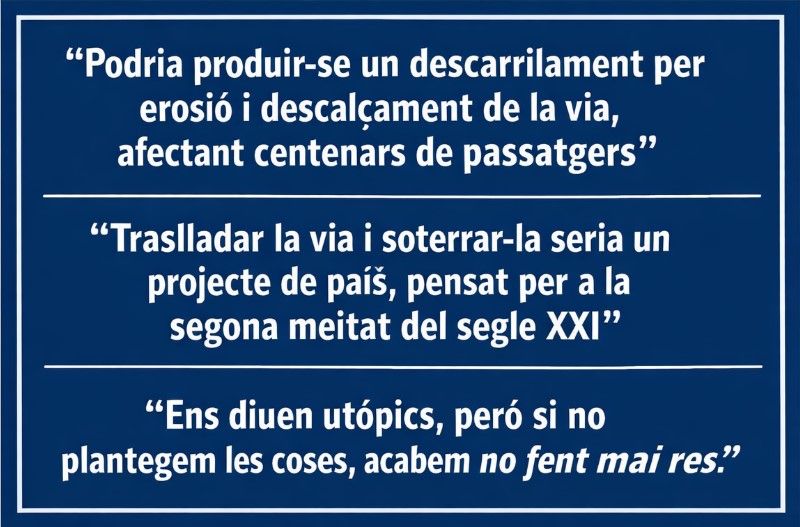 declaracions 1 declaracions 1