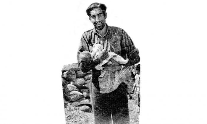 josepinena
