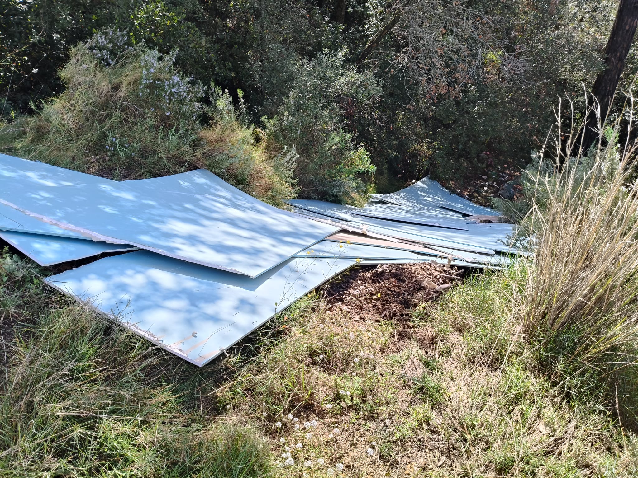 Identificat l'autor de l'abocament il·legal. Foto: Ajuntament