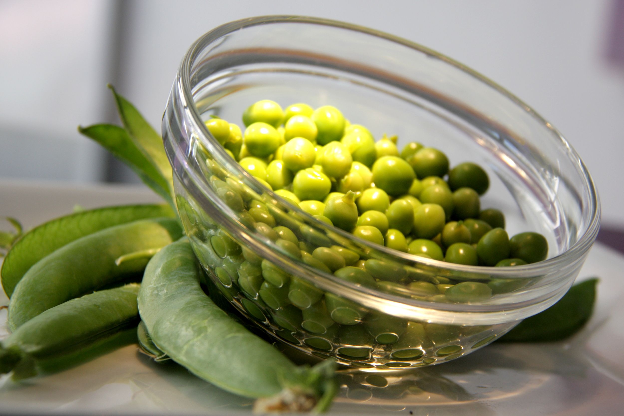 Guisante del Maresme