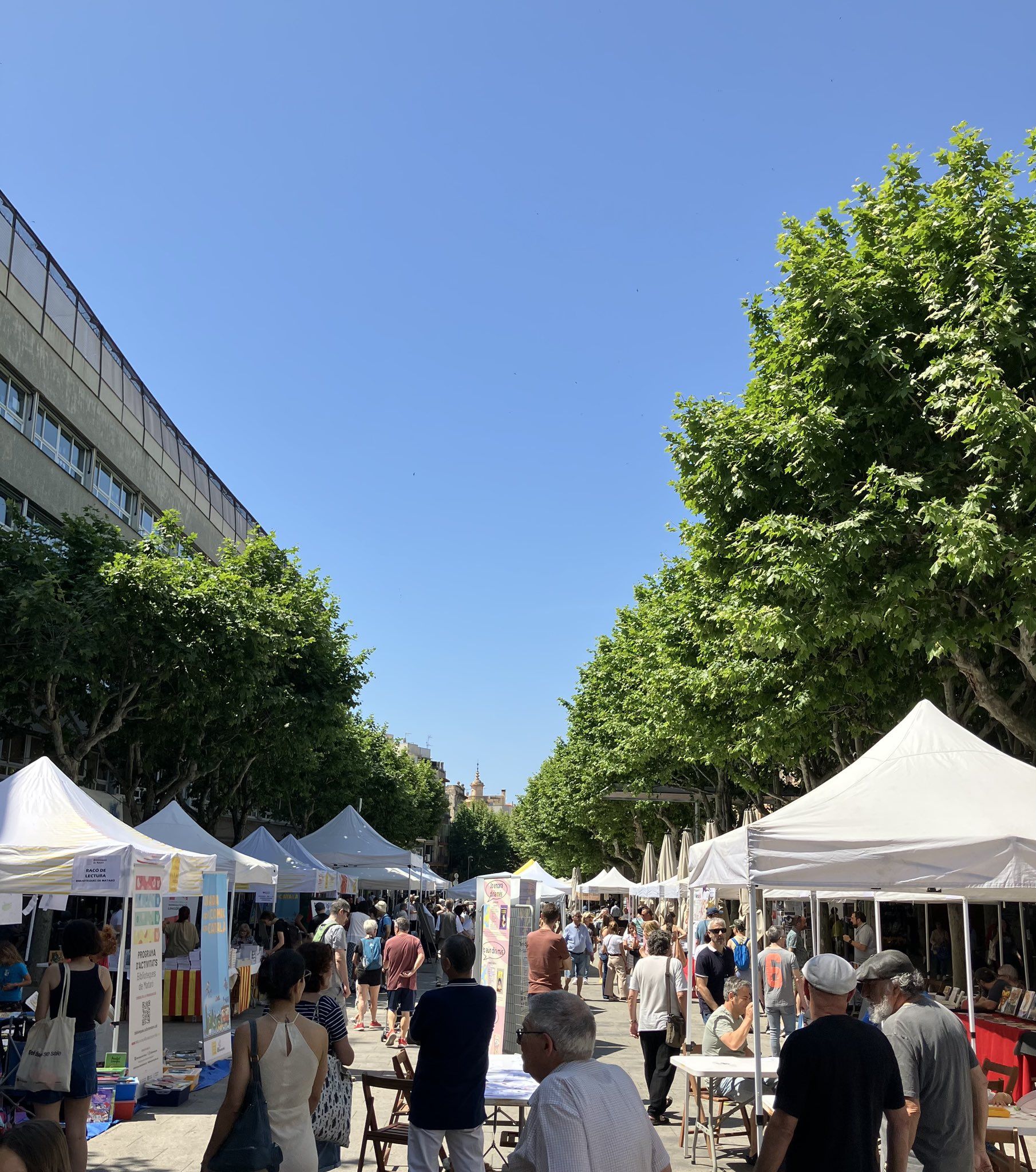 Diada del Còmic en català 2