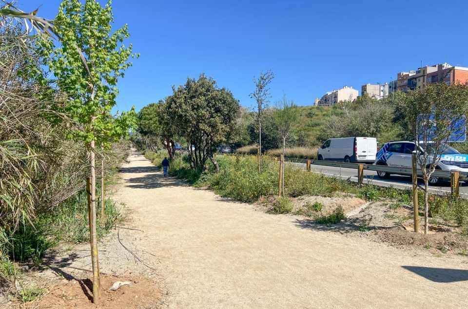 Riera de Argentona, Re-Natura. Foto: R.Gallofré Riera de Argentona, Re-Natura. Foto: R.Gallofré