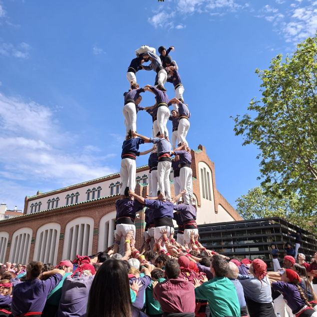 El 7 de 7 de los Capgrossos en la jornada de su local, en el Escorxador. Foto: E. Casanova