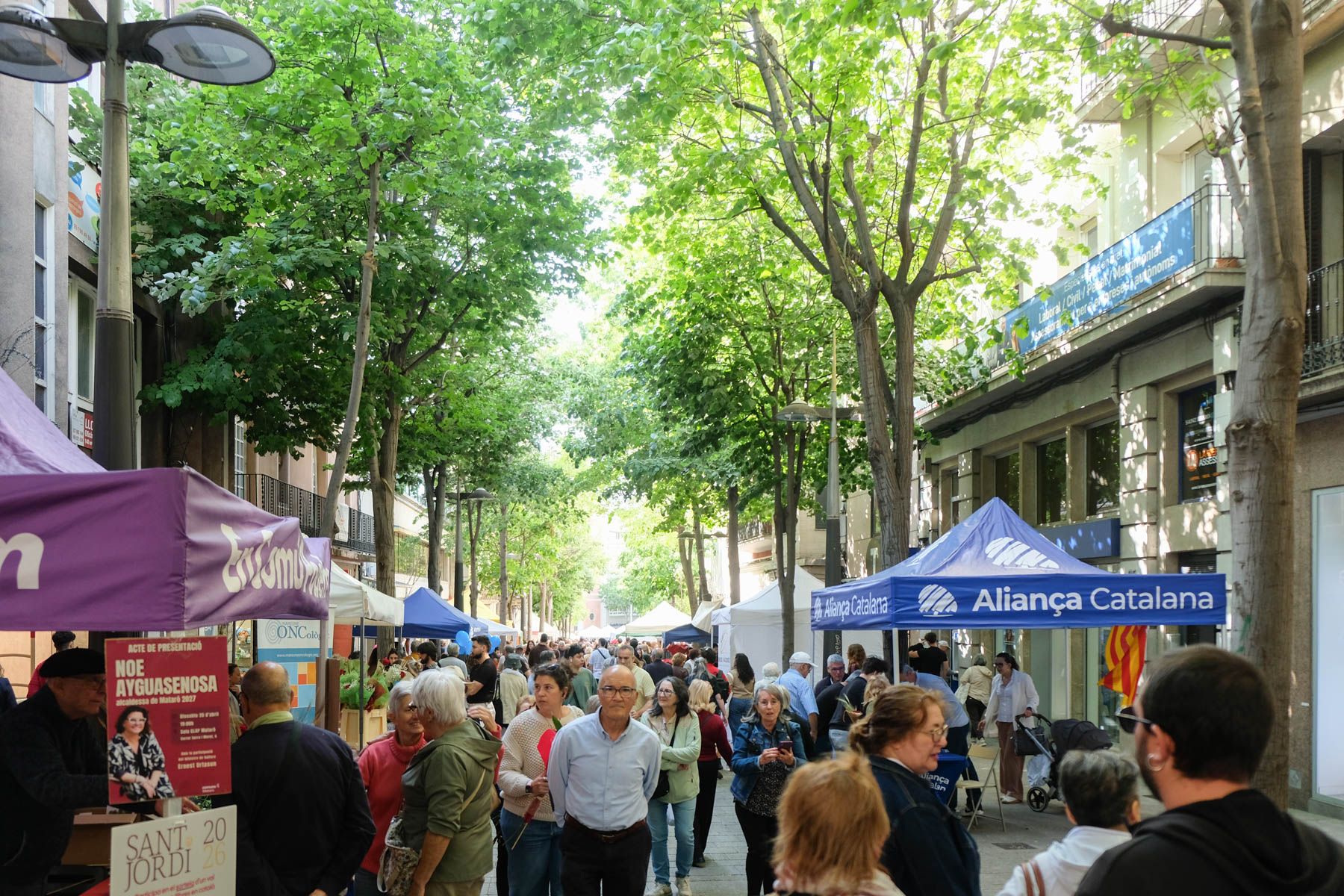 Sant Jordi. Foto: Carme Francés