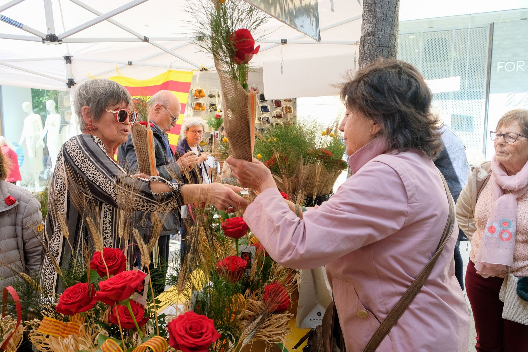 Sant Jordi. Foto: Carme Francés